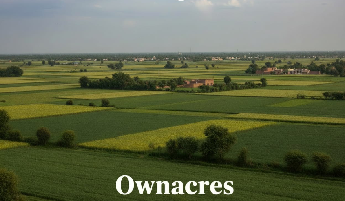 Why Moga is Best Place To Buy Property?